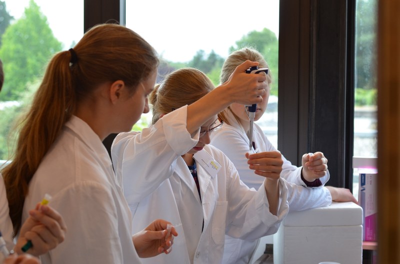 MINT Summer School 2015: Teilnehmerinnen bei einer molekular-biologischen Untersuchung