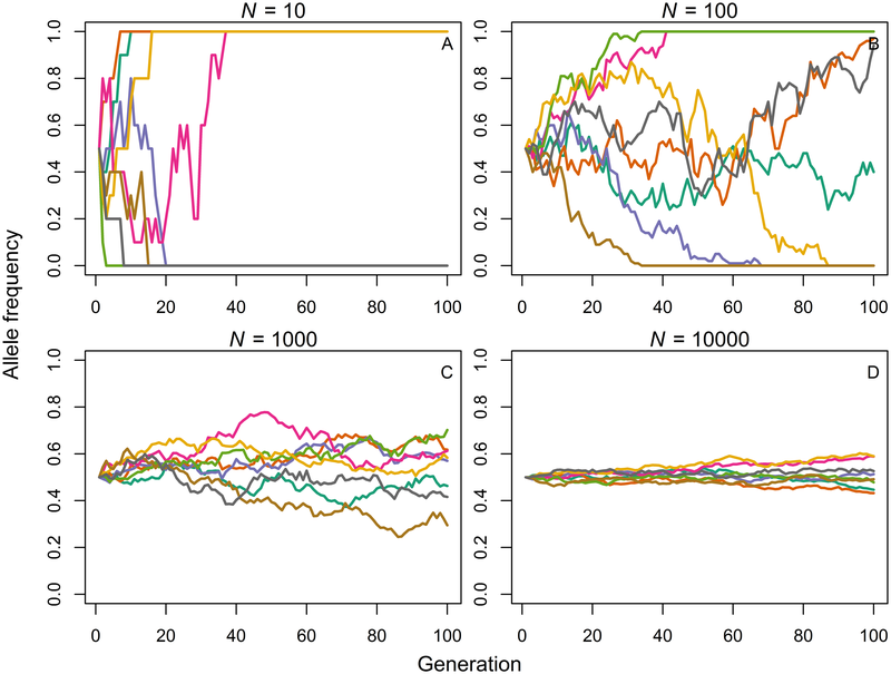 Development of the focal allele frequency at N=10; 100; 1000; 10,000 over 100 generations