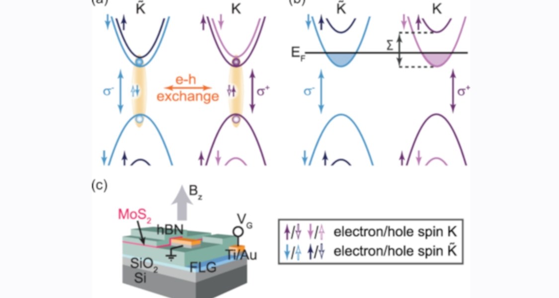 Figure 1 in the publication Exchange Energy of the Ferromagnetic Electronic Ground State in a Monolayer Semiconductor