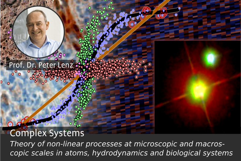 Complex Systems