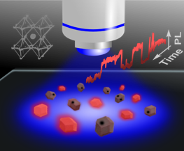 In very small-sized objects like perovskite nanocrystals, the impact of individual, metastable defects is evident in the form of PL fluctuations (“blinking”). Further analysis of the intensity fluctuations allows for characterization of individual non-radiative centers beyond ensemble-averaging.