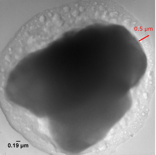 TEM image of a Li6PS5Cl coated LiCoO2 particle