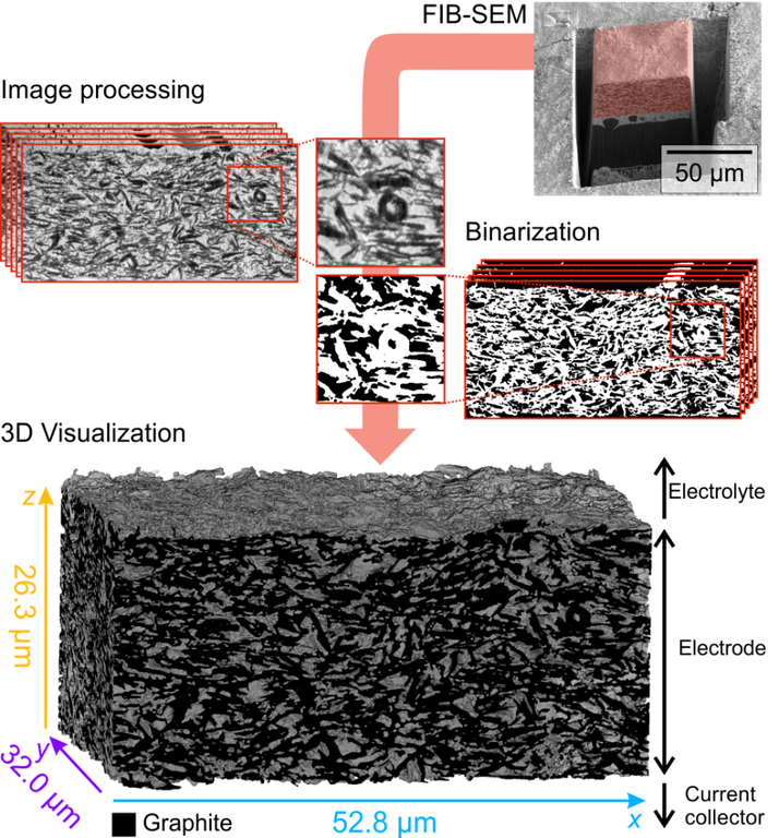 From a set of FIB-SEM image slices, the material (here, an electrode) can be reconstructed in 3D.