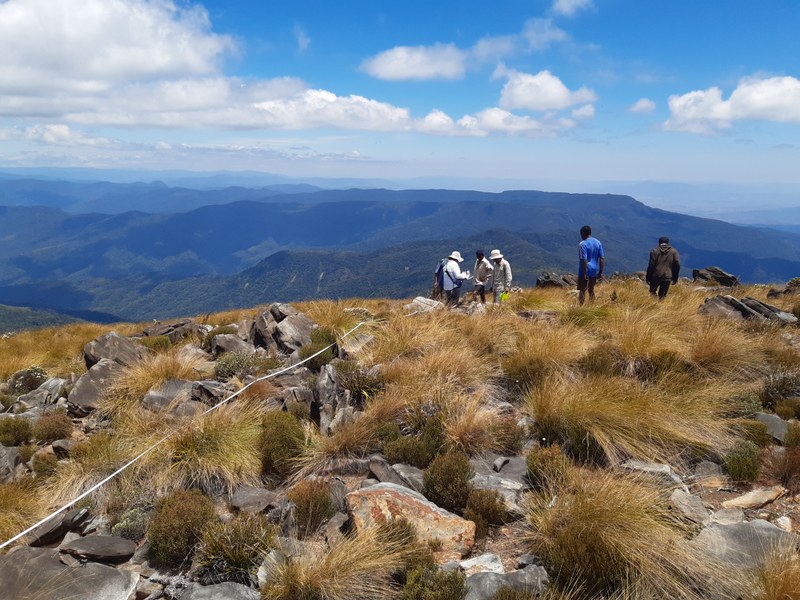 Rocky grassland with four people; mountains in the background