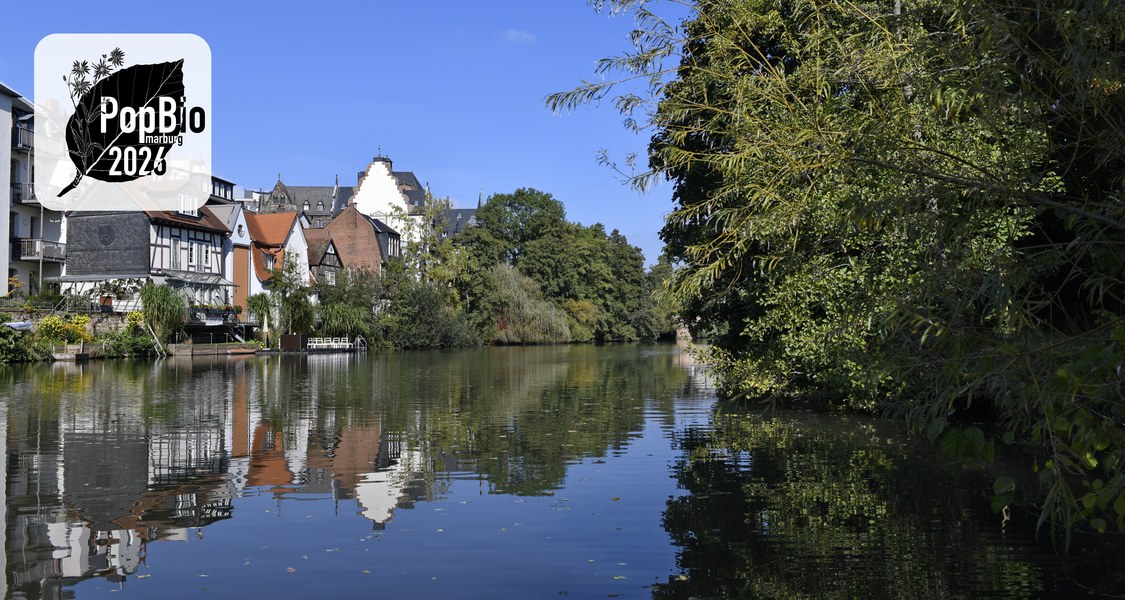 Photo of the Lahn river flowing through the city of Marburg and historic buildings along the river bank