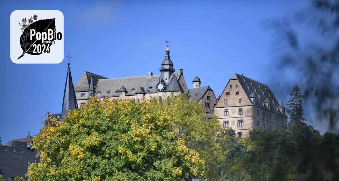 Photo of Landgrave Castle (Landgrafenschloss) above the city of Marburg