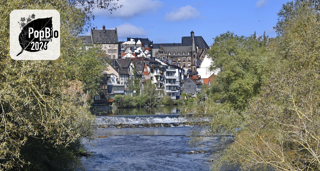 Photo of the Lahn river flowing through the city of Marburg with parts of the historic city center in the background