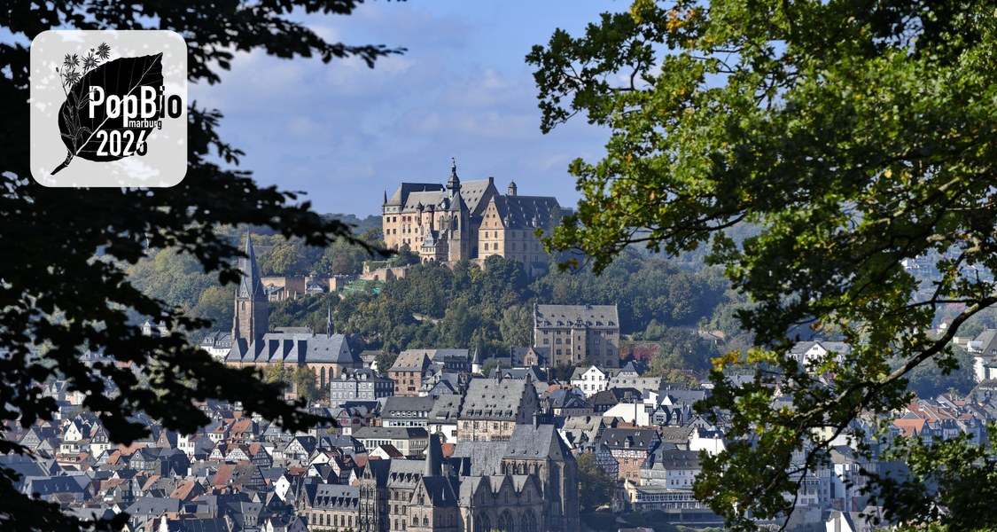Photo of the city of Marburg