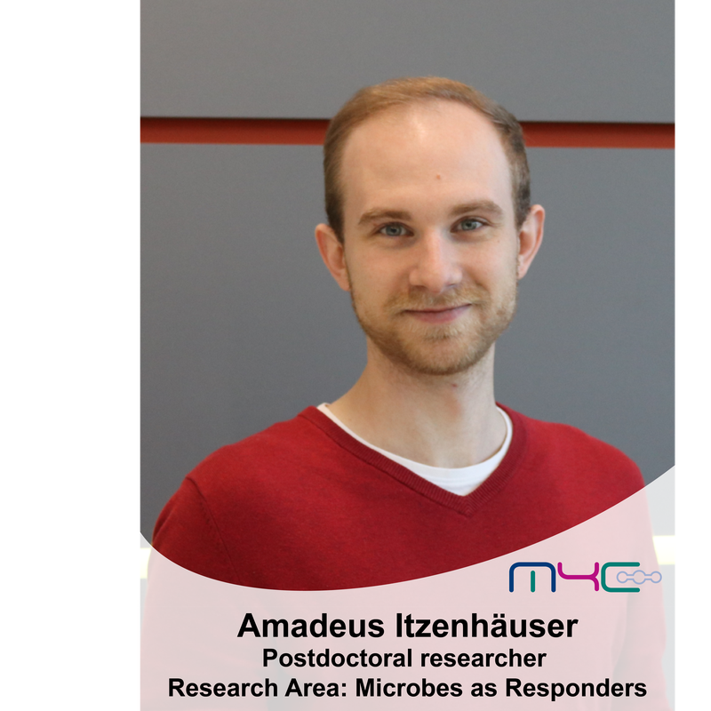 Amadeus Itzenhäuser