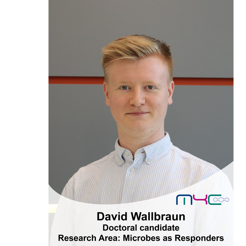 David Wallbraum