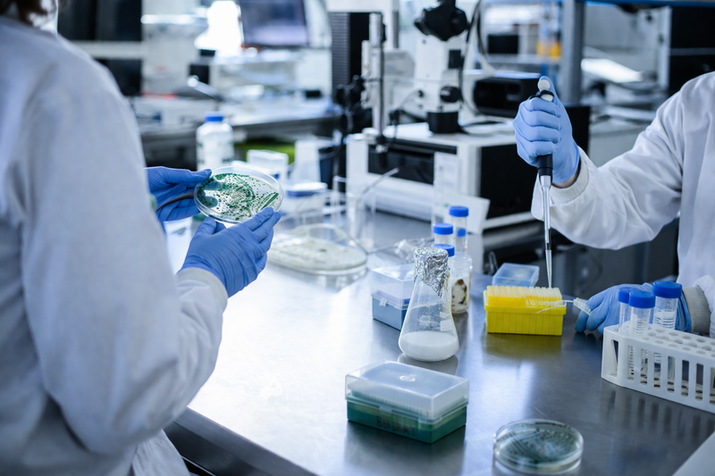 Doctoral students pipetting