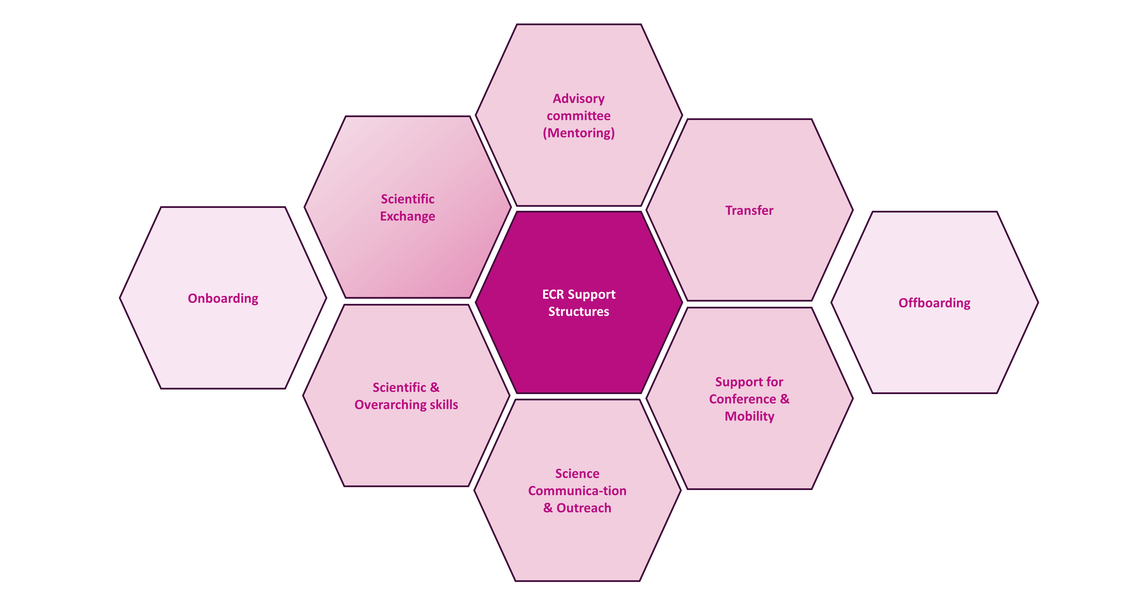ECR scheme