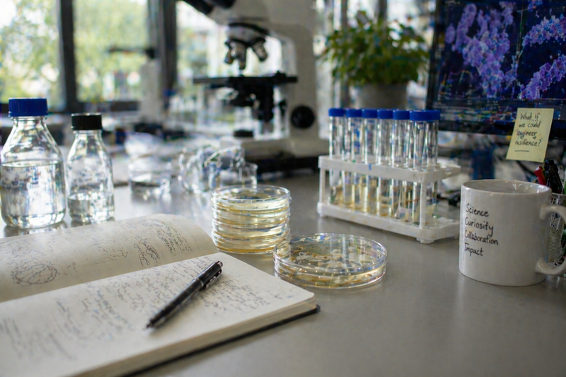 Postdoc Notes in Lab