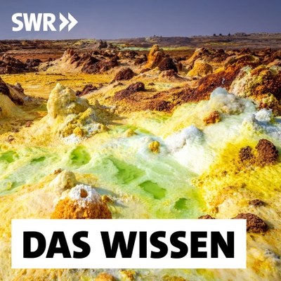 Das Wissen Podcast mit Martina Preiner