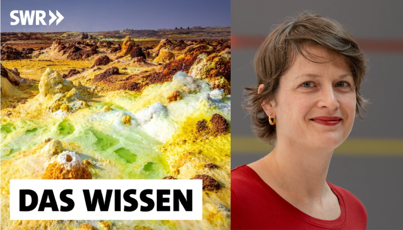 Interview Martina Preiner Das Wissen
