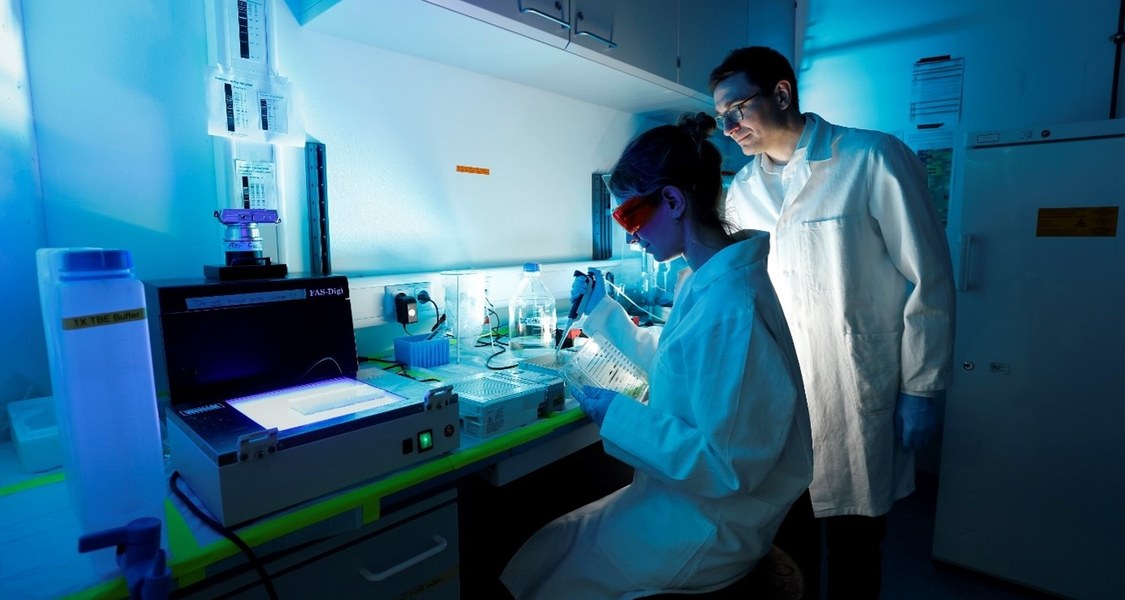 2 People work at the bench