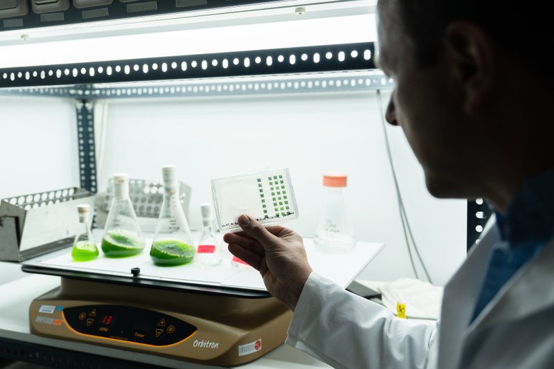 Picture of Felix Willmund with a plate