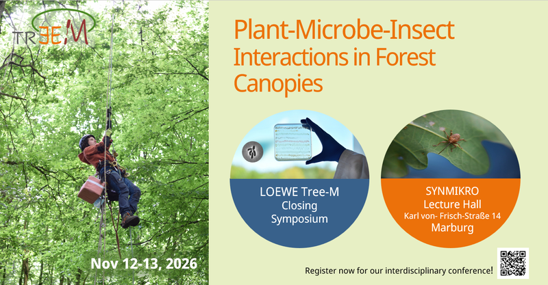 Tree-M Closing Symposium Nov 12-13, 2026