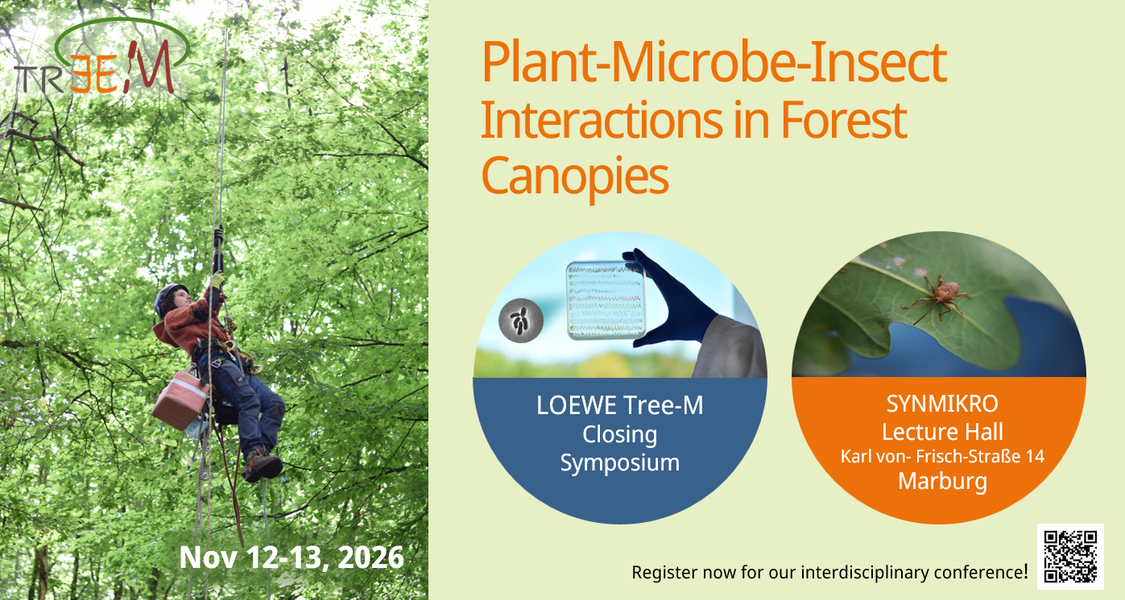 Tree-M Closing Symposium Nov 12-13, 2026