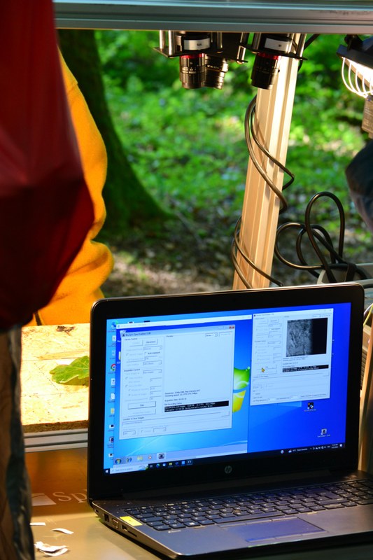 Machine scanning an oak leave at Caldern forest, with laptop showing the captured leave structure.