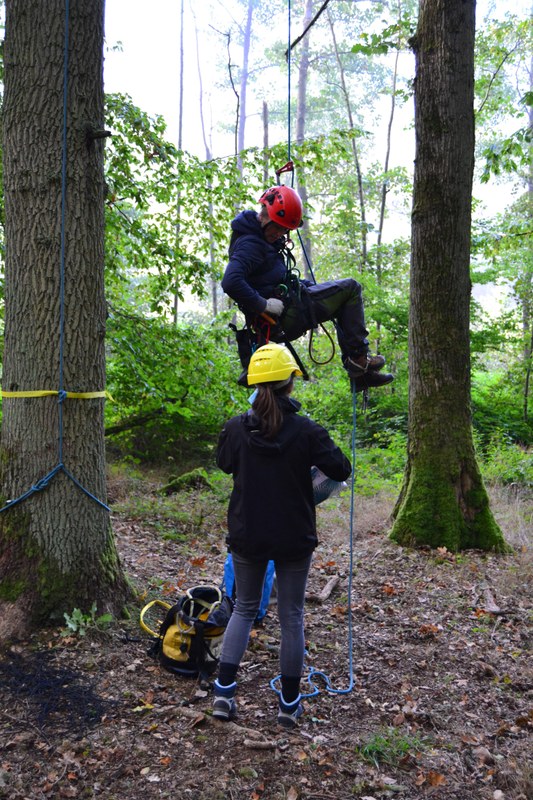 Picture of two women working at Caldern forest, one a professional tree climber in full gear hanging at head height in the air, the other a scientist wearing outdoor clothes and a helmet handing her a cooler bag for sample collection.
