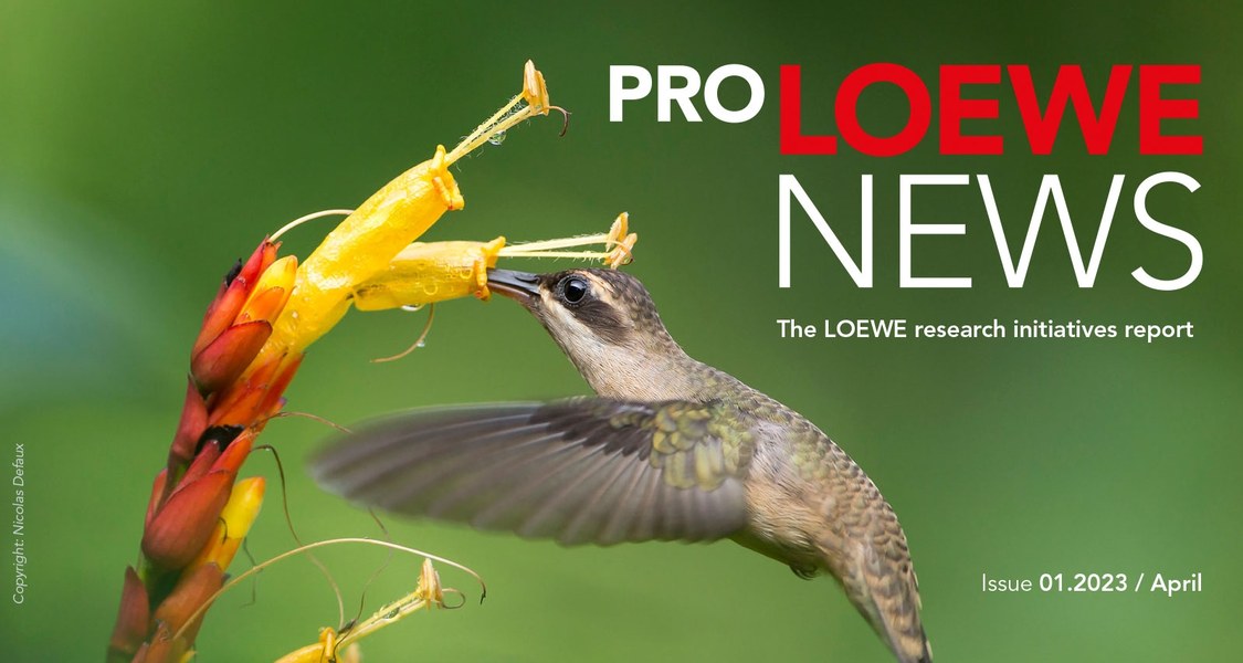 Title page of the ProLOEWE News first edition of 2023, showing a humming bird.