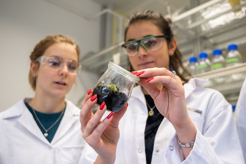 Students in the laboratory