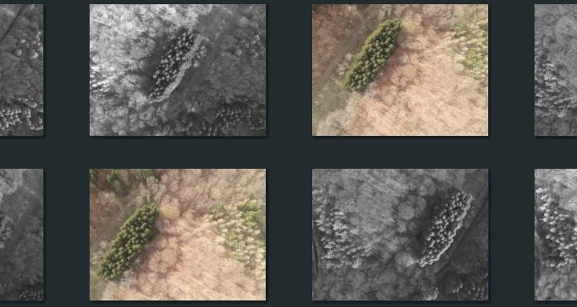 Mosaic of different aerial images of a forest patch
