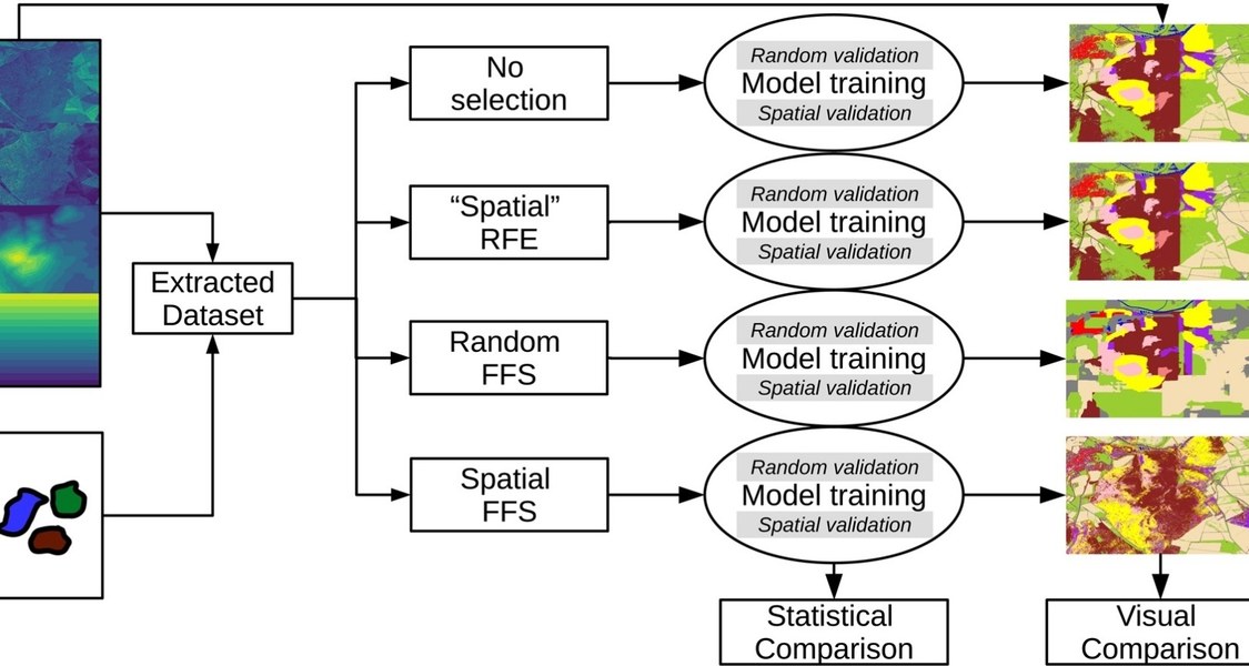 Graphical abstract of the publication.