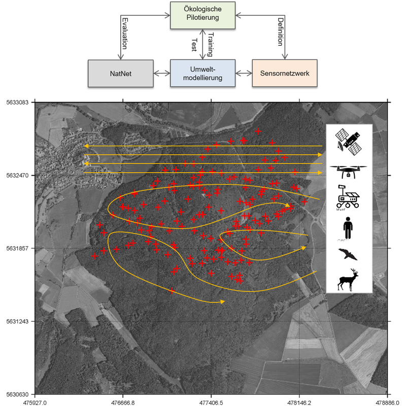 Overview map of the Marburg Open Forest with sensor locations and an overview of the three main project areas.