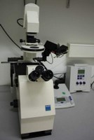 Mikroskop des SFB 593