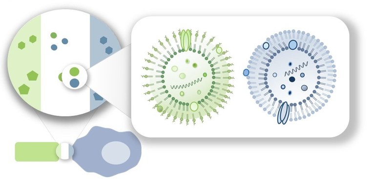 Graphic scheme for Project Area B