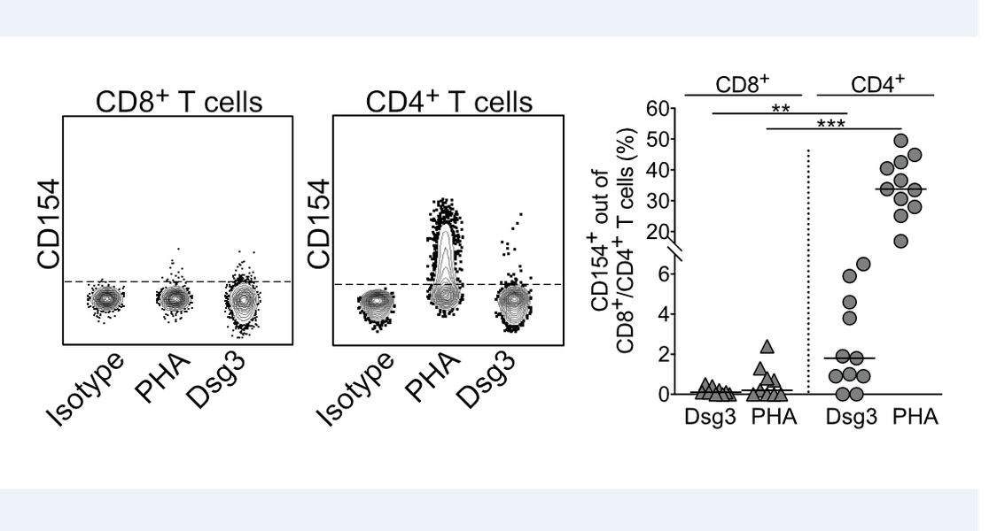 Figure from Polakova et al. Front. Immunol. 2022