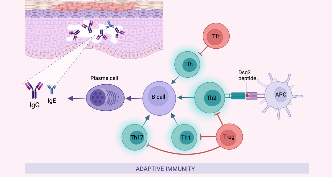 Graphical abstract of subproject TP2