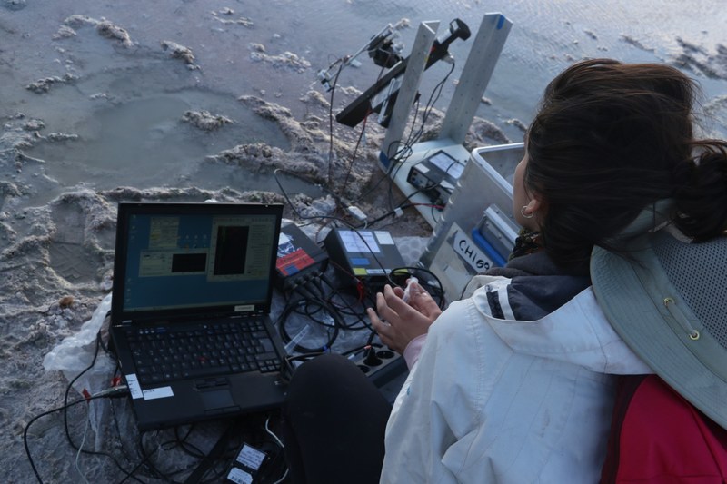 Scientist measuring with microsensors in the field. Sensors are attached to a motorized vertical positioner. Cables connect the sensors to measurement equipment and a laptop, which allows to observe changes of concentration online.
