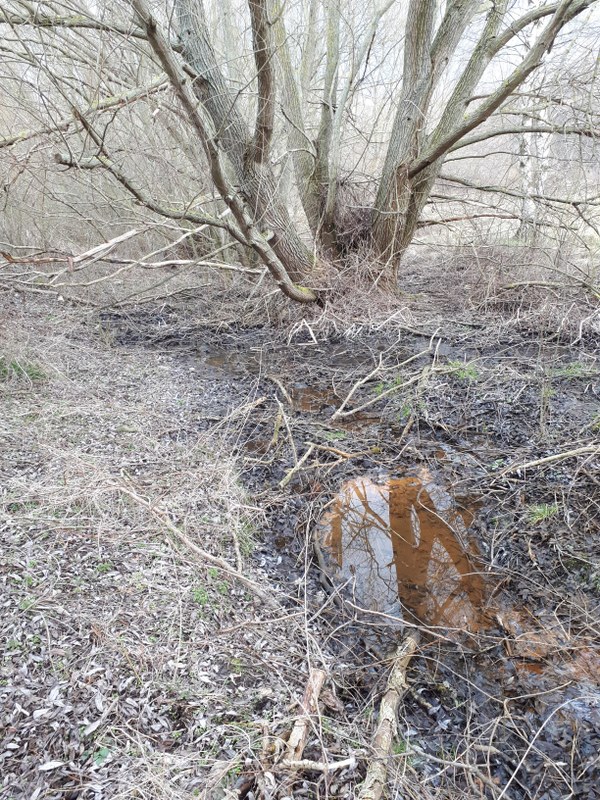 Brook with orange-colored water in the forefront and tree without leaves in the background.