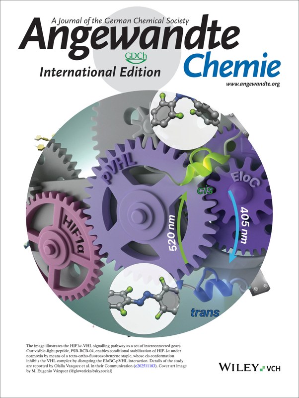 Coverimage of magazine Angewandte Chemie