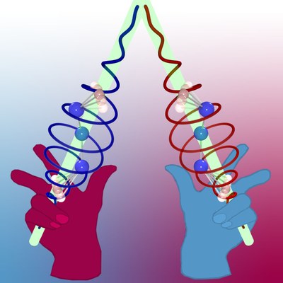 Logo CRC 1319 - Extreme light for sensing and driving molecular chirality (ELCH)