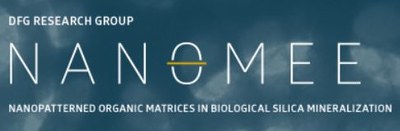 Logo Research Unit 2038 - Nanopatterned Organic Matrices in Biological Silica Mineralisation