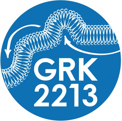 Logo GRK 2213