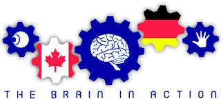 Logo the brain in action
