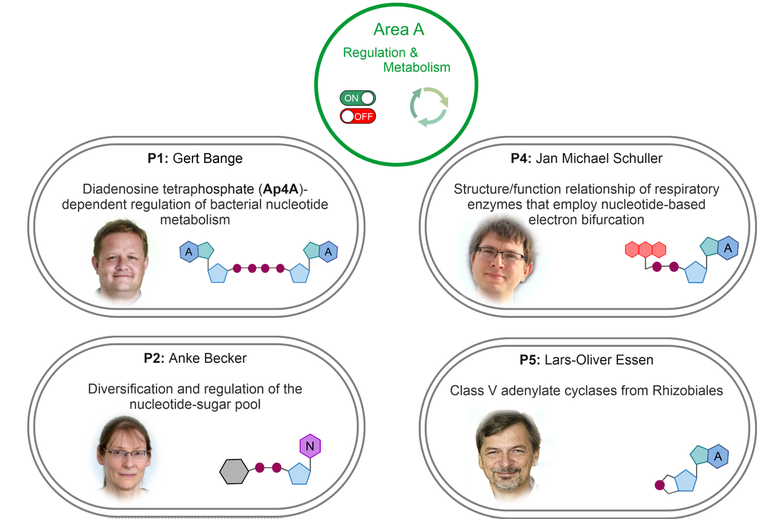 The graphic shows the projects associated with research area A, naming their project heads and titles.