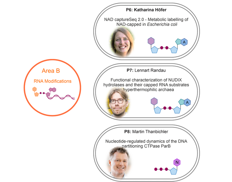 The graphic shows the projects associated with research area B, naming their project heads and titles.