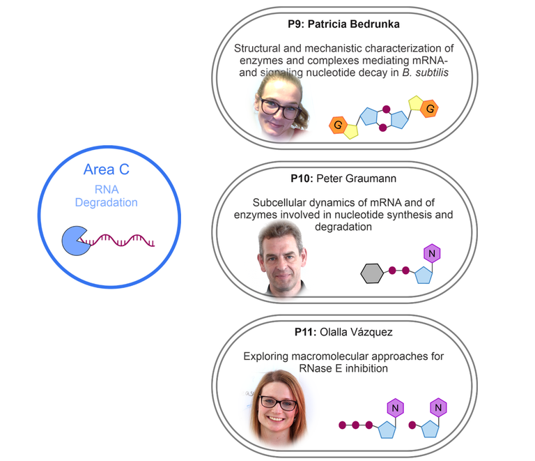 The graphic shows the projects associated with research area C, naming their project heads and titles.