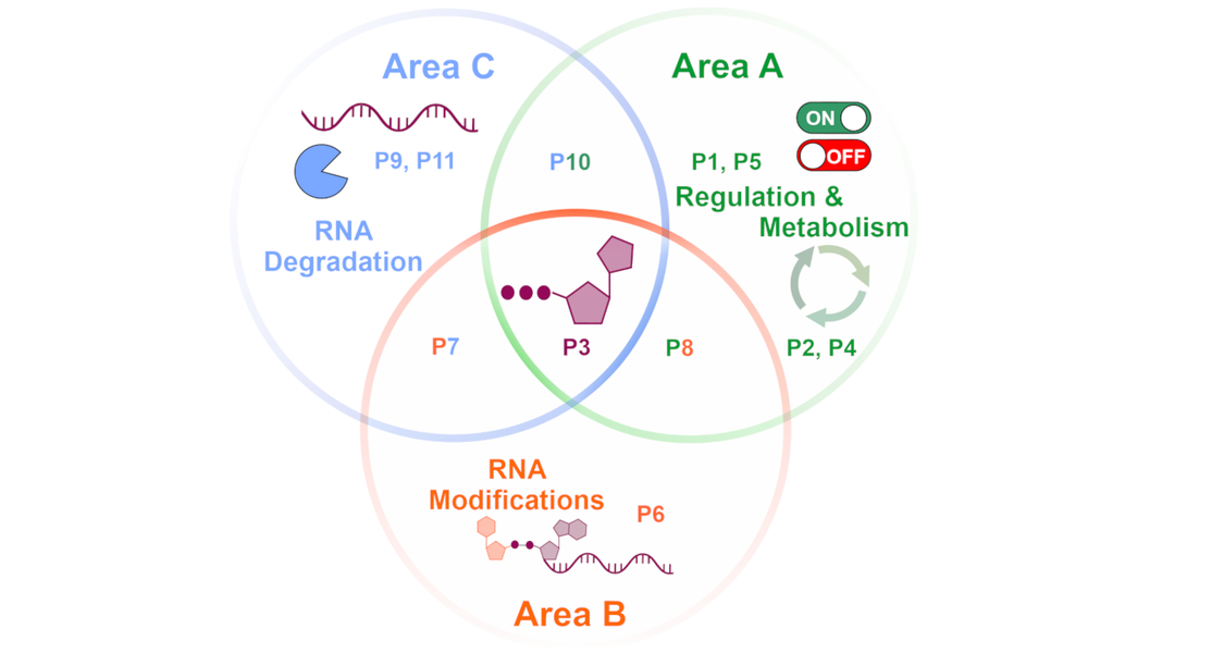 The graphic illustrates the main topics of the research areas A, B and C, the intersections of the three and where the MiNu projects are located.