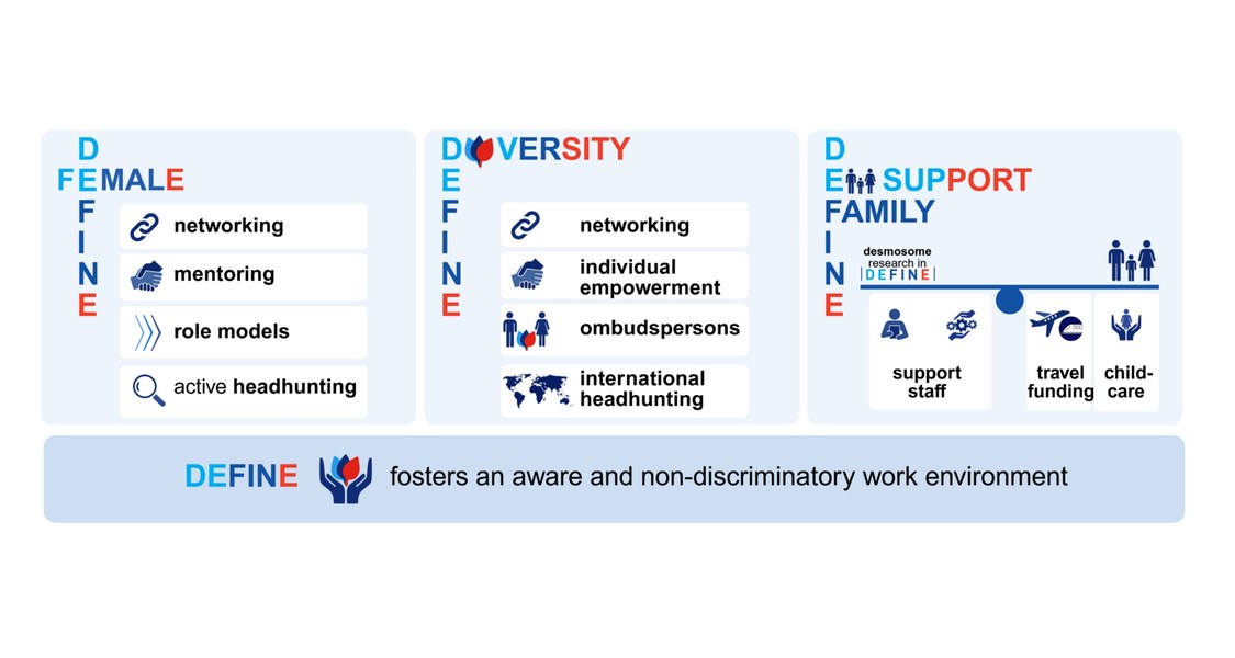 Different measures to implement equal opportunities are displayed. Three boxes describe strategies for female empowerment, diversity and family support. Thus, an aware and non-discriminatory work environment is fostered in DEFINE.