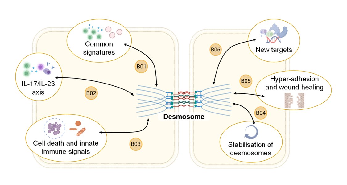 The interaction between the groups within research area B are displayed.