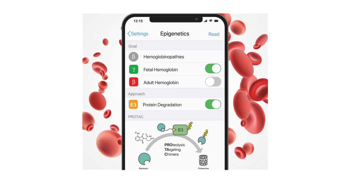 Certain globin genes are activated in the fetus but are epigenetically silenced in the adult organism. As a therapeutic approach for the treatment of ß-globin deficiencies, the targeted proteolysis of epigenetic repressor proteins represents a promising approach.