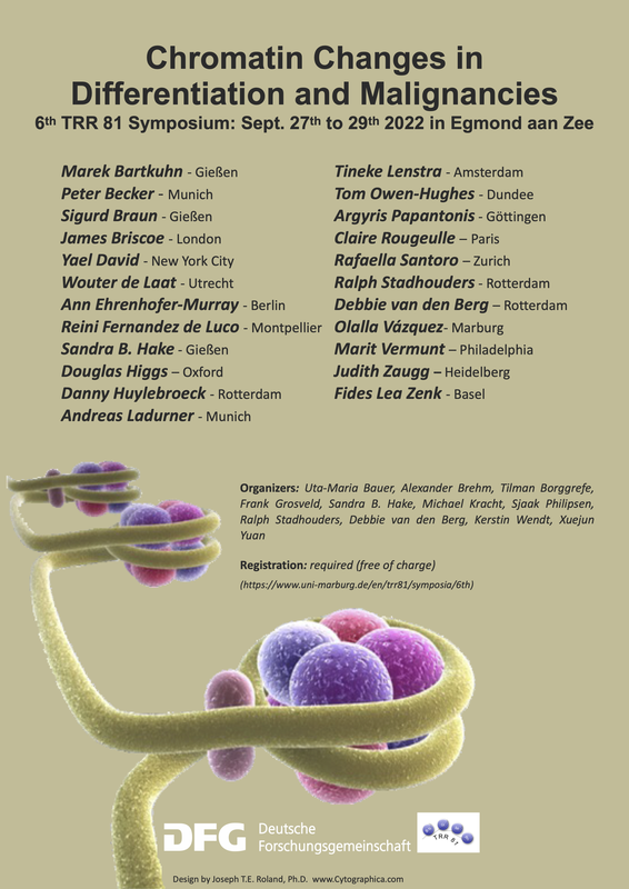 Poster of the 6th TRR81 Symposium "Chromatin Changes in Differentiation and Malignancies". The event takes place in Egmond aan Zee from September 27th to September 29th. Listed are the invited speakers and organizers.