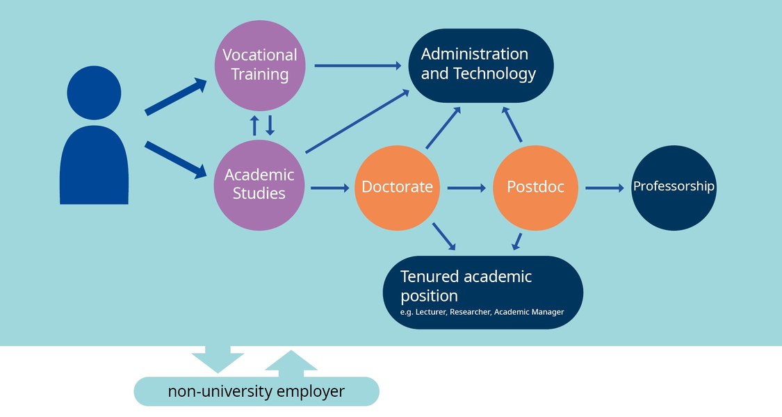 The infographic "Career Paths at Marburg University", designed as a decision tree, illustrates the diverse career paths available at the university. Starting from a person icon, arrows lead to two main paths: one arrow points to a circle labeled “Vocational Training” and the other to a circle labeled “Academic Studies.” From the “Training” circle, you can take the career path toward “Doctorate” or into “Administration and Technology.” From the “Academic Studies” circle, you can take the path toward “Vocational Training,” “Administration and Technology,” or “Doctorate.” From the “Doctorate” circle, one can move into “Administration and Technology,” take a postdoc position, or take a permanent academic position such as Lecturer, Researcher, or Academic Manager. Even as a postdoc, one can still switch to Administration and Technology or take a permanent academic position. As a postdoc, it is also possible to be appointed to a professorship.
From any of these positions, it is possible to move to a non-university employer.